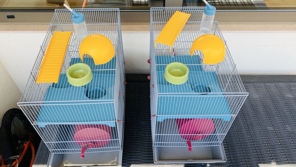 Gaiola para hamster