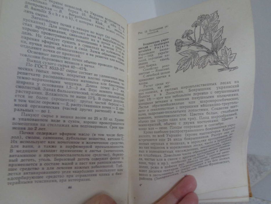 Ивашин Катина Лекарствен растения Украины 1975 Киев 358стр