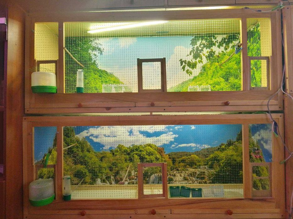 клетки для птиц б\у