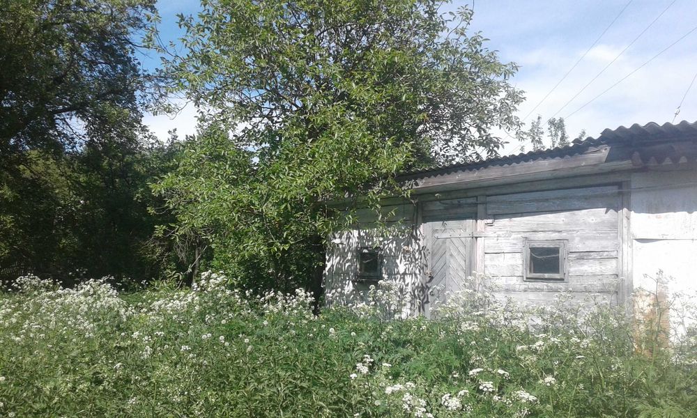 Земельна ділянка