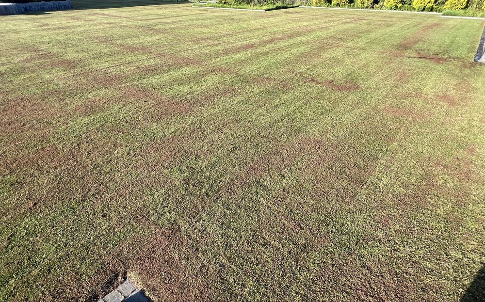 Profesjonalne piaskowanie trawnika, top dressing trawnika, EcoLawn