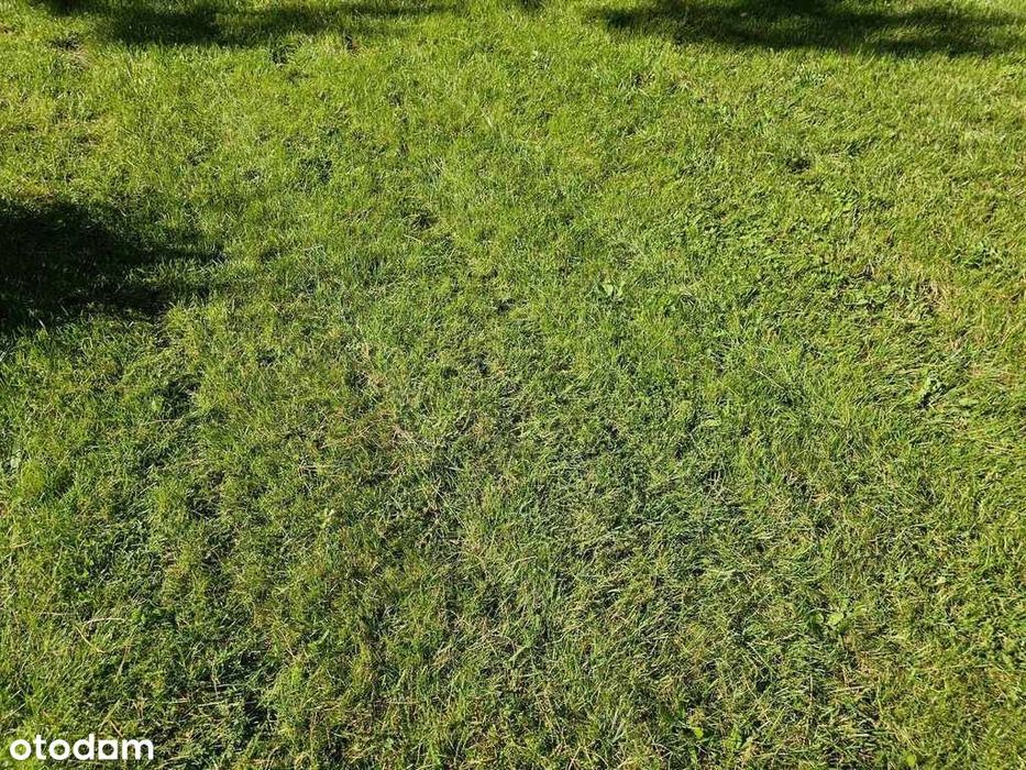 Mpzp Załatwione dokumenty do zakupu Media !