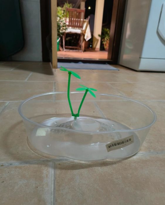 Aquário para tartarugas