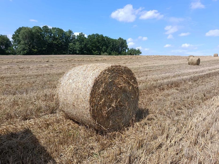 Słoma w belach  żyto pszenżyto sucha przykryta transport