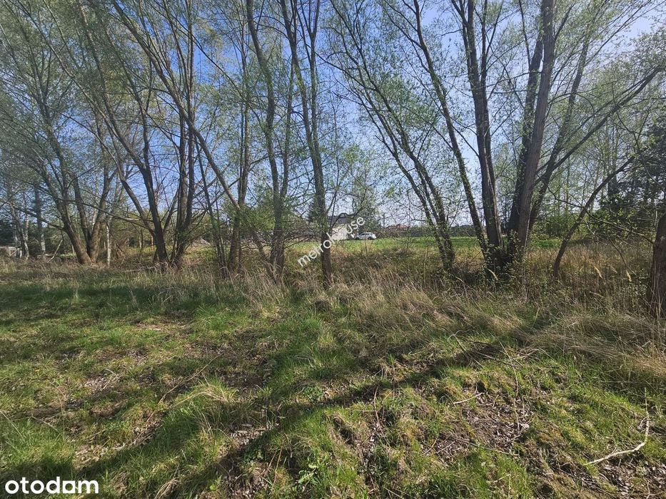 Działka Budowlana 1462 M² | Dobiesz | Piękne Brzozy | Dojazd Z 2 Stron - View 6