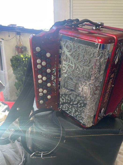 Vendo Concertina como Nova