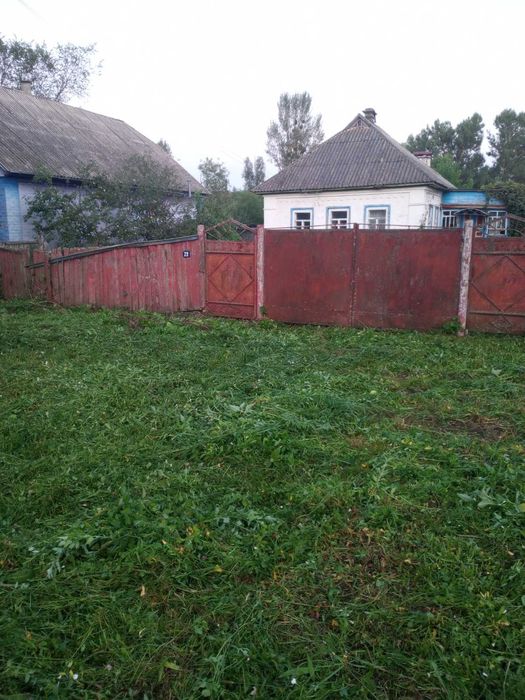 Продам  будинок в с Озеряни
