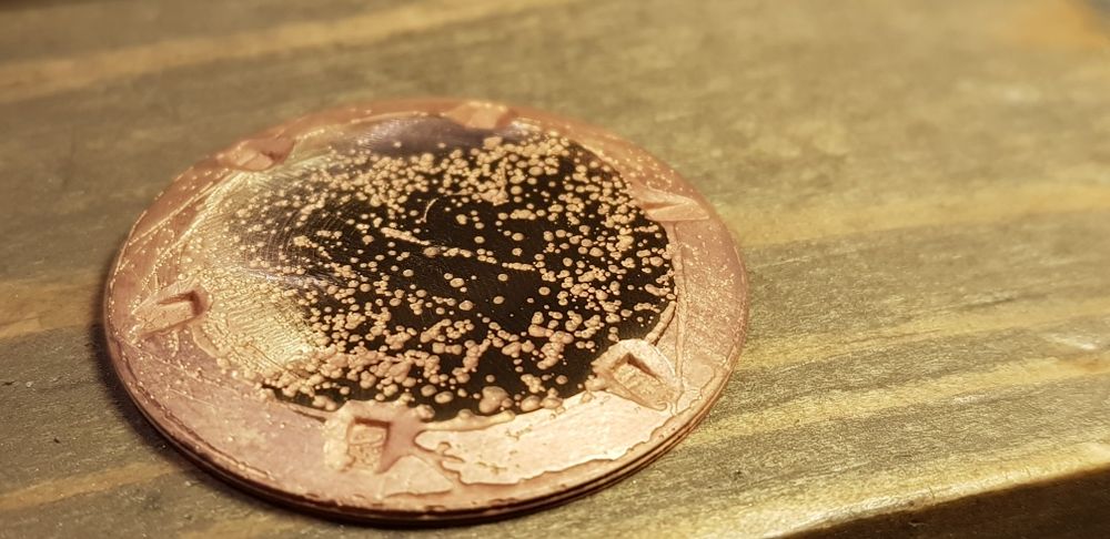 Renowacja kopert nowy chrom nowe złoto Omega Longines Zenith Tissot