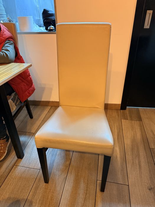 Cadeiras de napa costa alta cor (toffe) 49 uni.+ candeeiros iglo