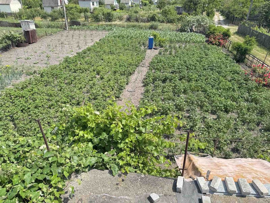 Продам дачу дві ділянки