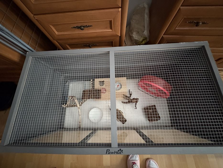 Klatka dla chomika z pelnym wyposazeniem