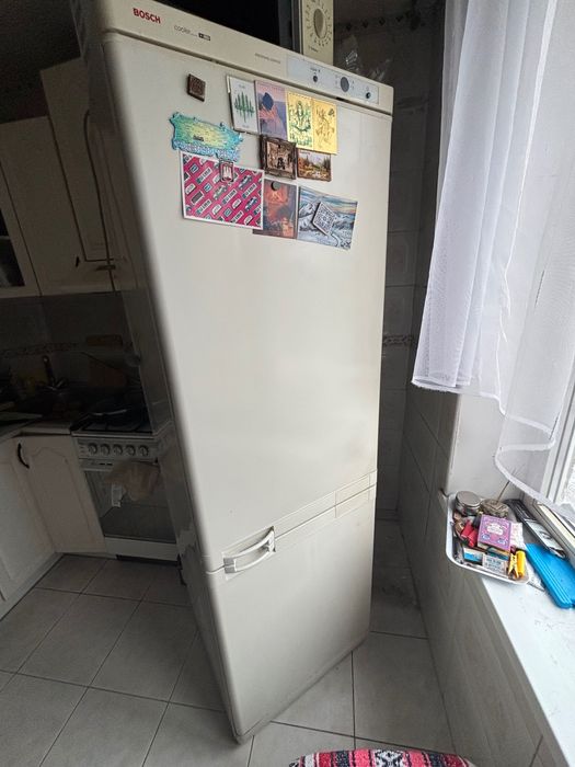 Відам Boshch KGV-3604 холодильник