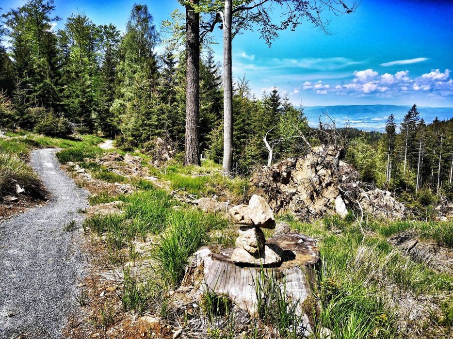 Dom pod Śnieżnikiem Apartament 2-7 os