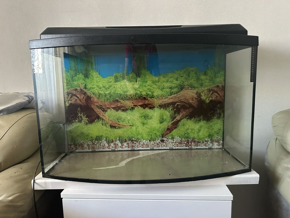 Акваріум на 140 літрів