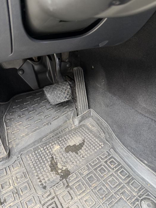 Капсула часу, рідна фарба