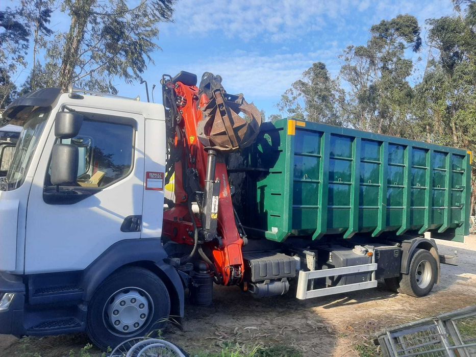 Transporte/Corte de Árvores e Poda de Risco - Atendimento Rápido e Seg