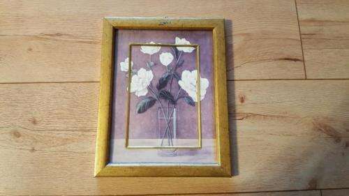 Frame with frame64586214082178120