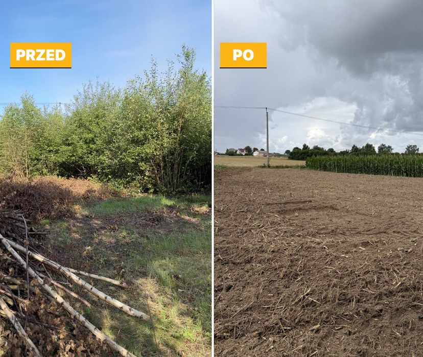 Porządkowanie Działek, Wycinka Drzew, Karczowanie, Mulczowanie terenu