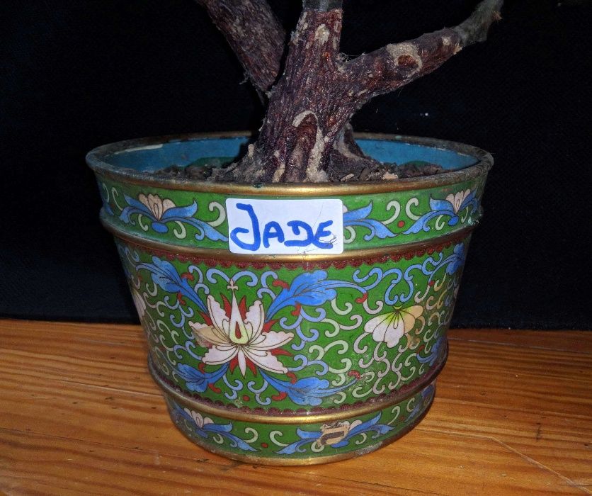 Vaso Cloisonné Jade