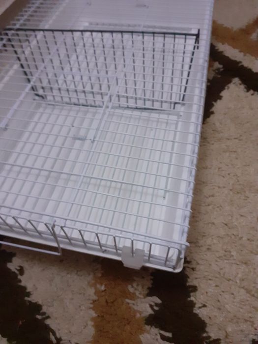 Gaiola transportadora dupla baixa