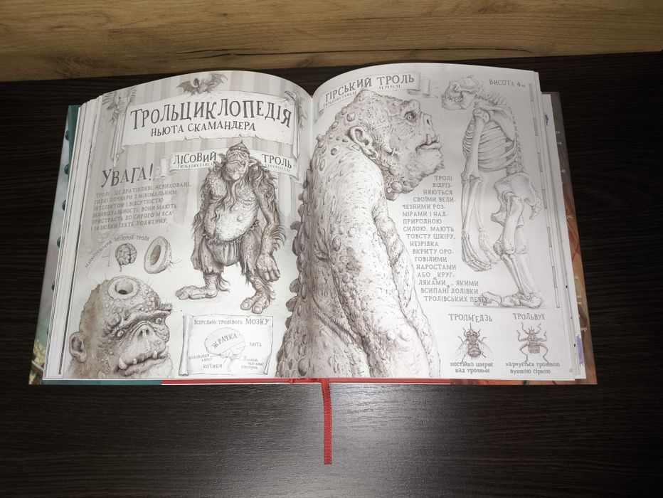 Книга Гаррі Поттер і філософський камінь. Велике ілюстроване видання