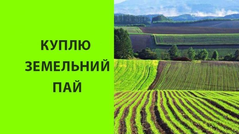 Земля сільськогосподарського призначення