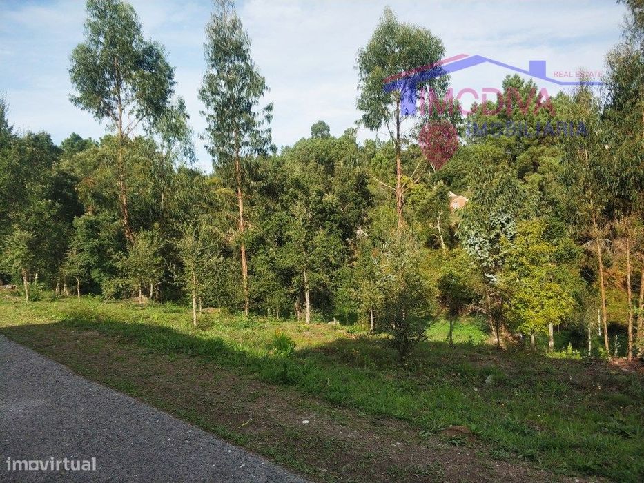 Terreno com 1790m2 em Pedrógão Grande