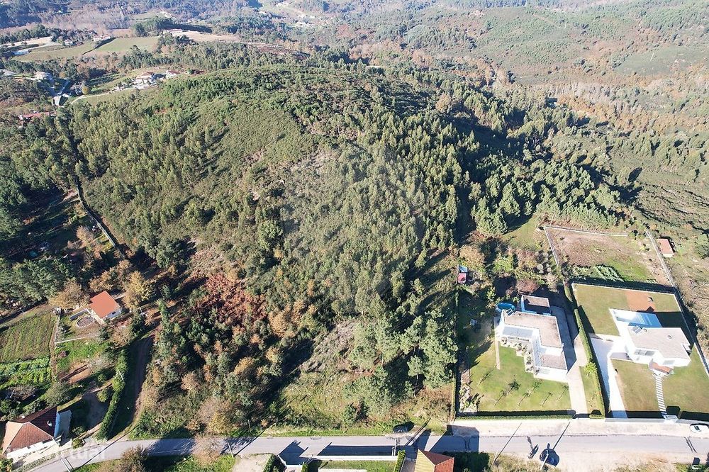 Terreno  para venda