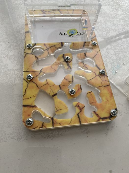 Мурашина ферма смарт сахара antcity