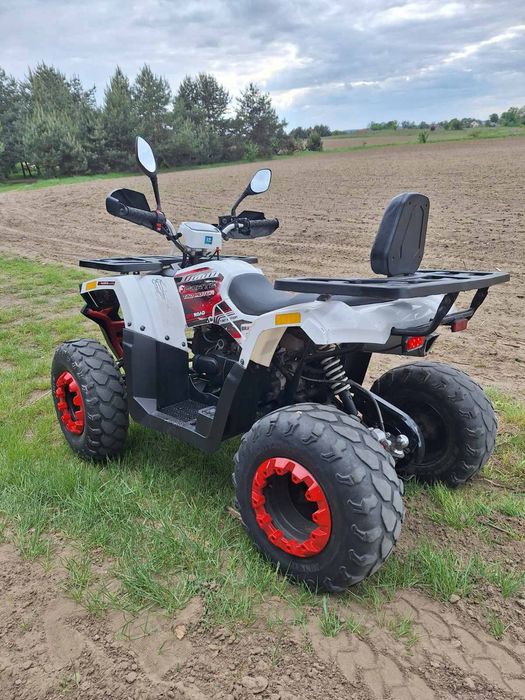 Квадроцикл Forte Braves 200