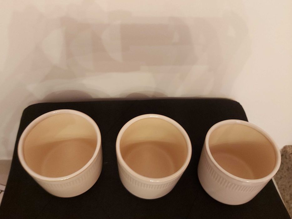 Conjunto 3 Vasos de plantas
