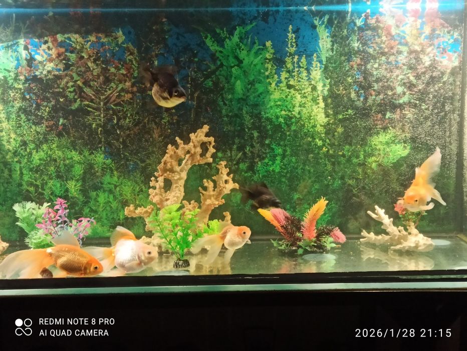 Продам аквариум на 300 литров