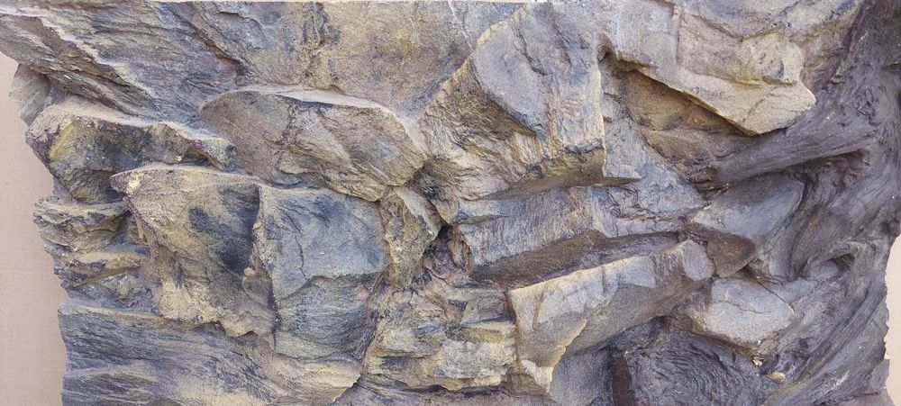 Tło strukturalne amazonka