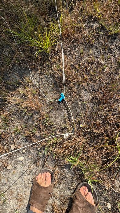 Duotone Rebel 12 m 2021/2022