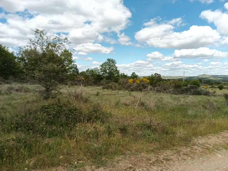 Terreno à venda em Paçó de Mós