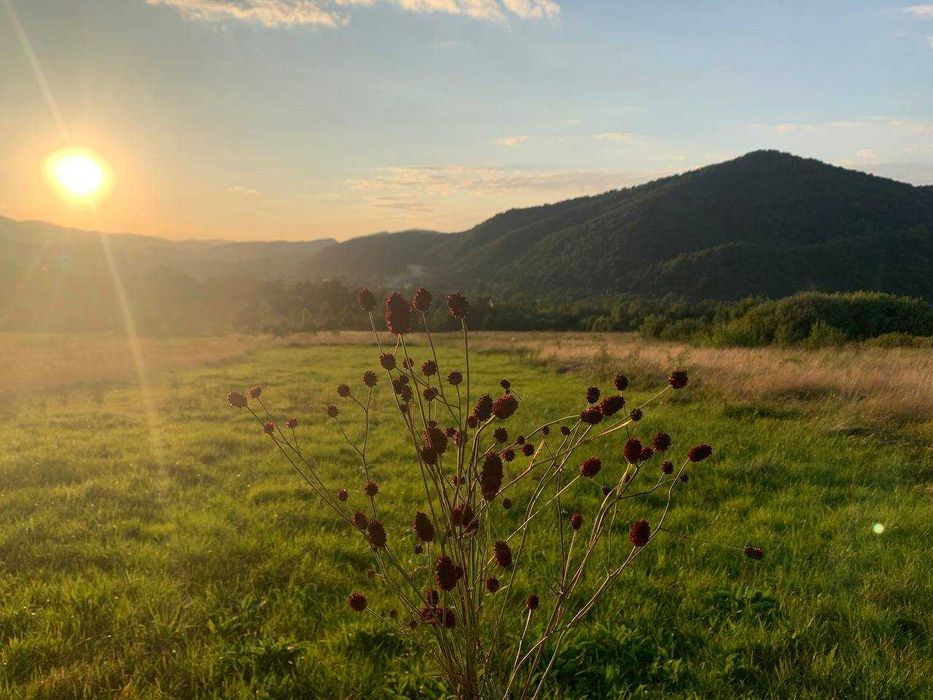 Будинок біля гір