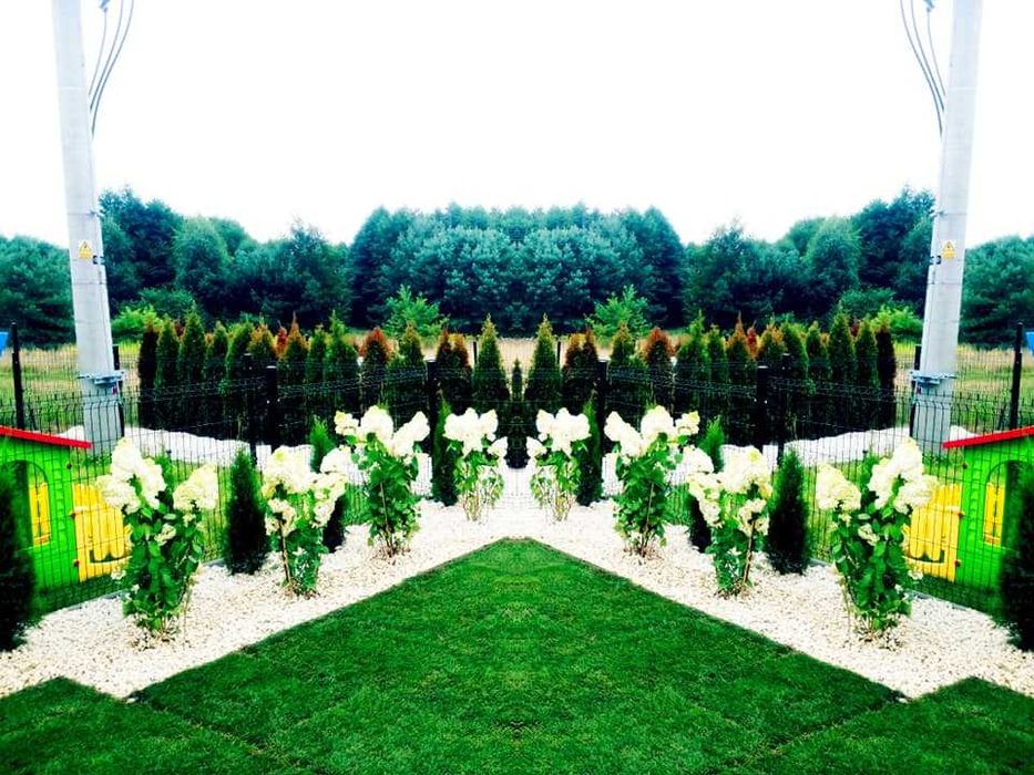 Zakładanie i projektowanie ogrodów