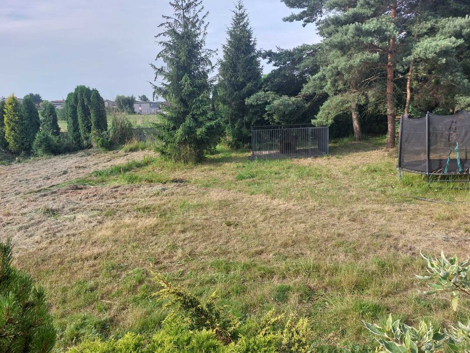 Domowy hotel dla zwierząt, psi hotel, opieka nad psem