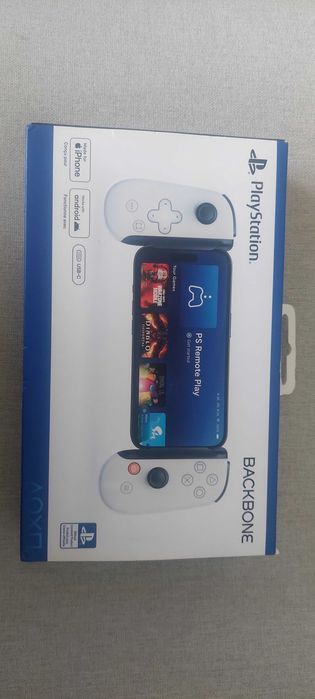 PS Remote Play Playstation