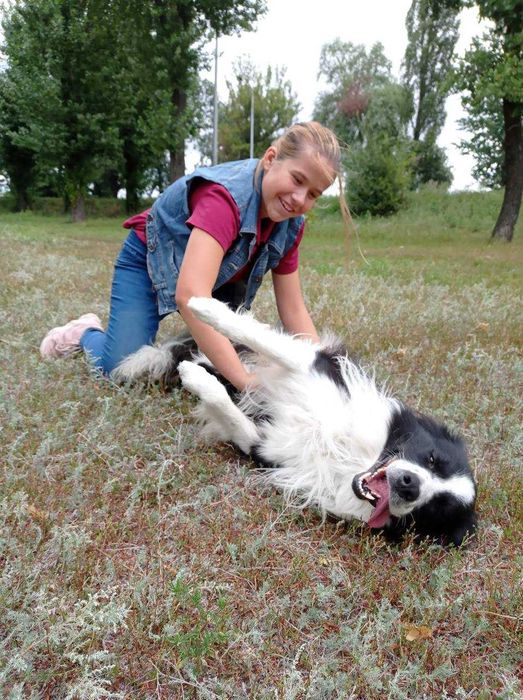 Кінолог, зоопсихолог, дресирування собак, вигул, перетримка
