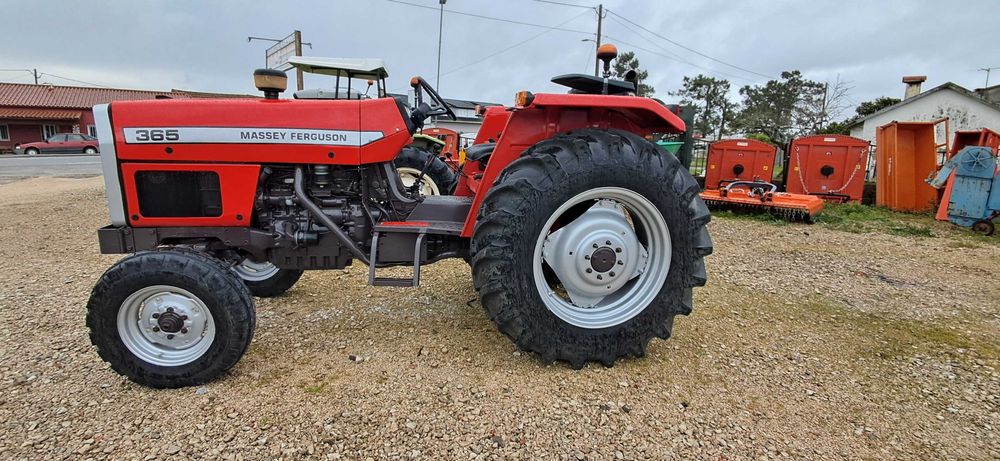 Massey ferguson 365