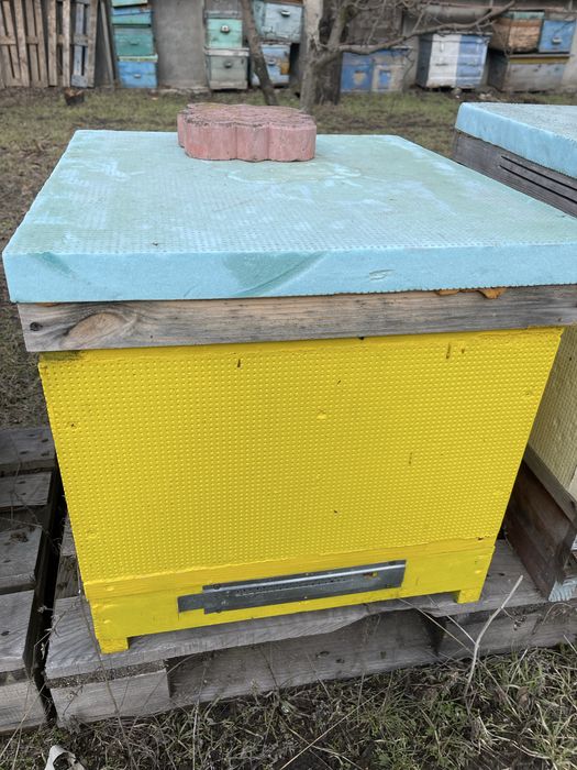 Вулик якісний і теплий