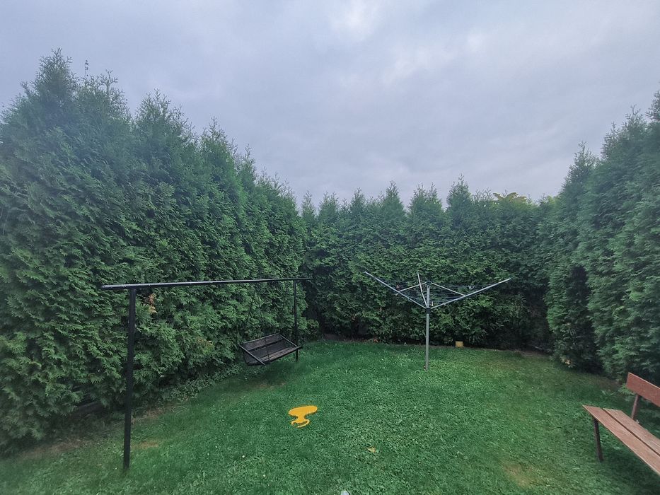 Udostepnie bezpłatnie tuje do przycięcia na stroiki wszystkich swietych.