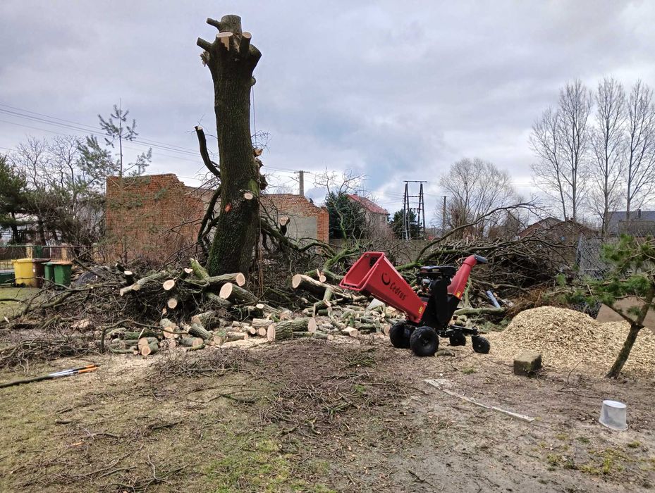 Wycinka i pielęgnacja drzew,  szybka realizacja, zabieramy gałęzie
