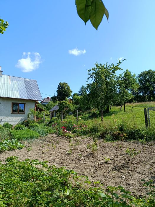 Domek wolnostojący, pokój do wynajęcia, nocleg, agroturystyka