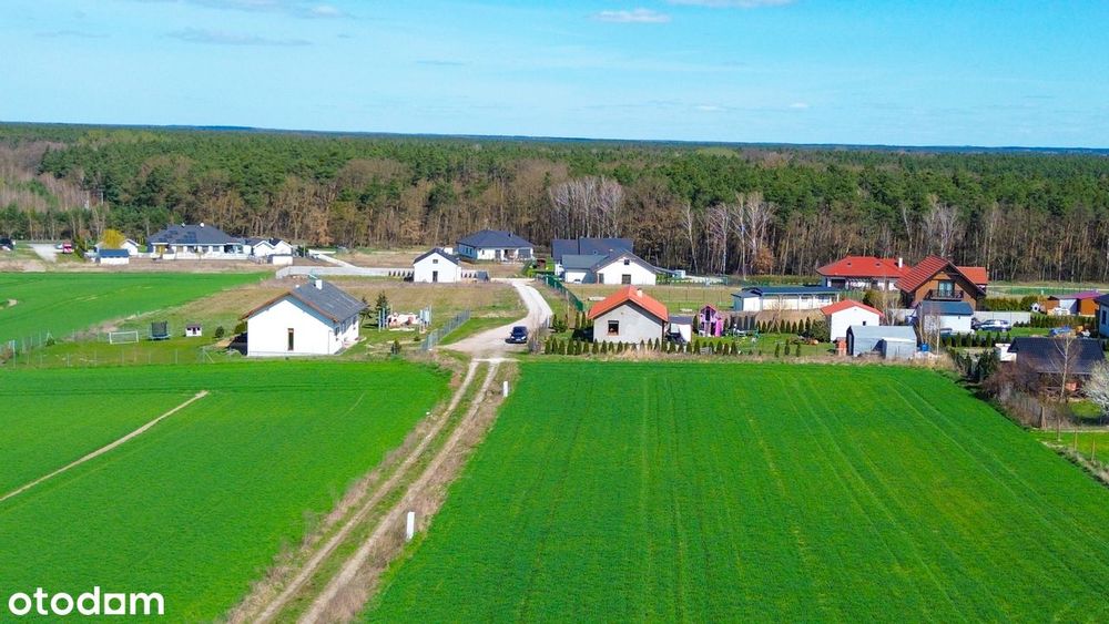 Działki pod Lasem od 1003m2