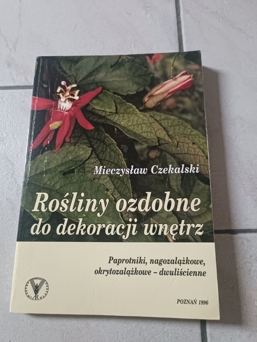 Rośliny ozdobne do dekoracji wnętrz