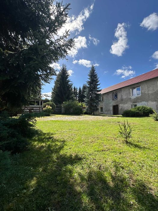 DOM Z 5 WYDZIELONYMI MIESZKANIAMI + ok. 400 m² zabudowań | działka 3833 m² | duży potencjał