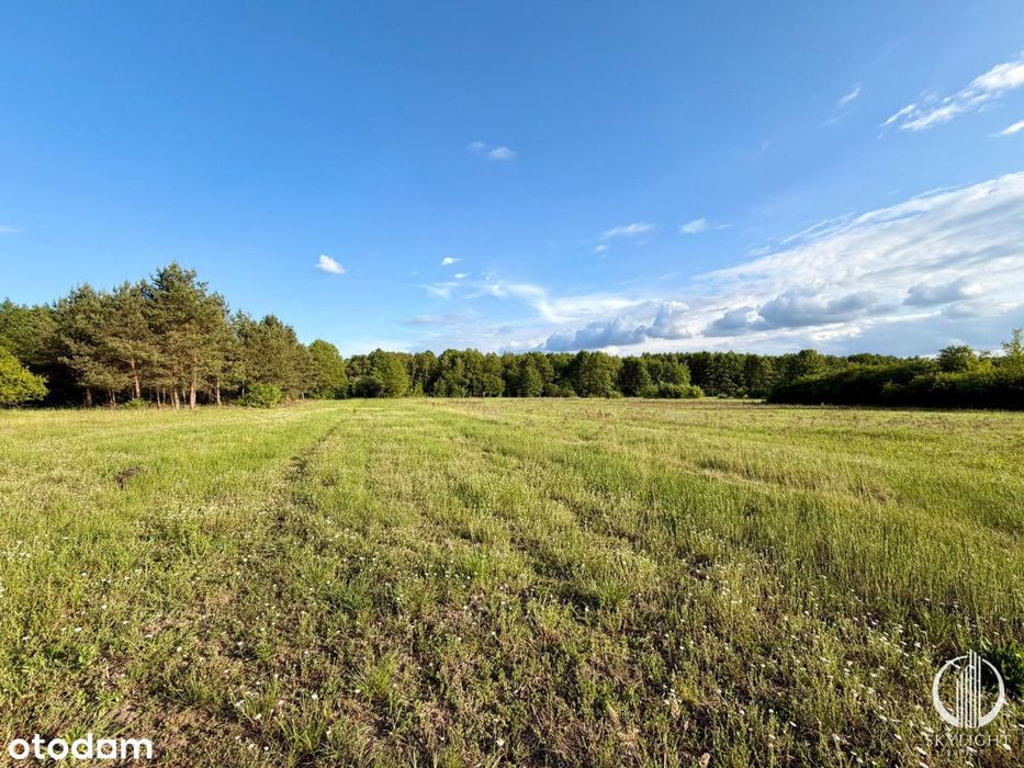 Działka budowlana 3252 m² z warunkami zabudowy