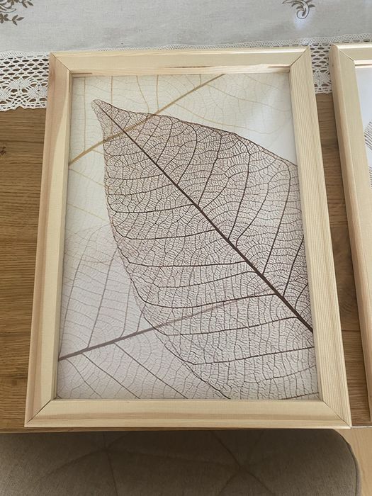 Telas com molduras tema: Natureza. Valor é do conjunto
